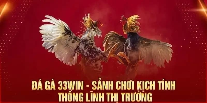 Đá gà 33win nảy lửa với nhiều hình thức hấp dẫn